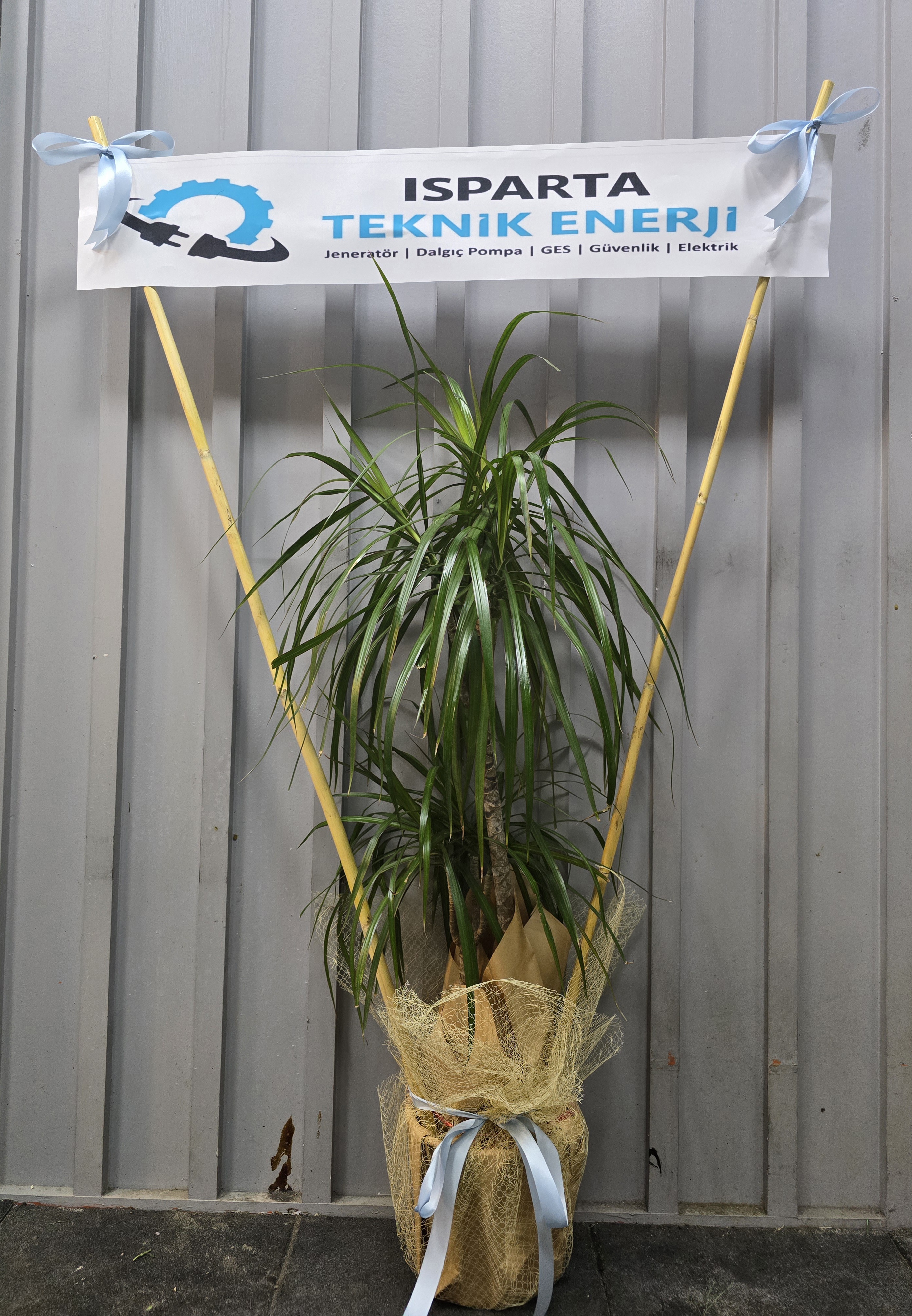 DÜĞÜN VE AÇILIŞ