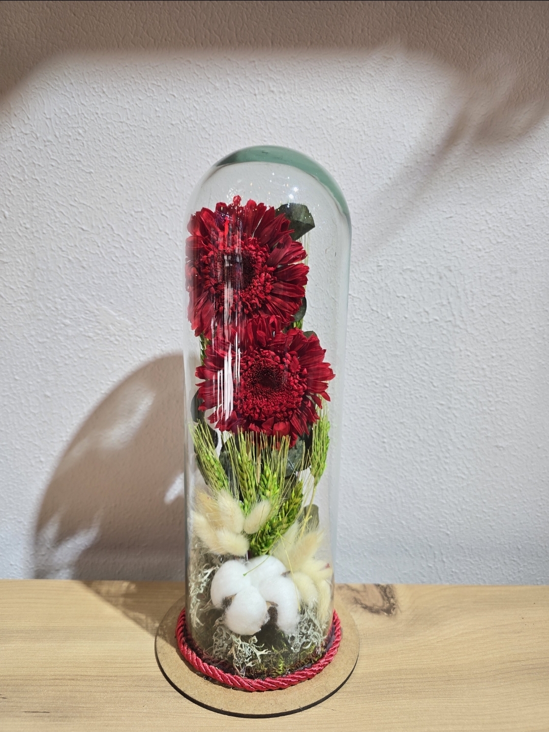 KIRMIZI ŞOKLANMIŞ DOĞAL İKİLİ CELBERA TERARİUM