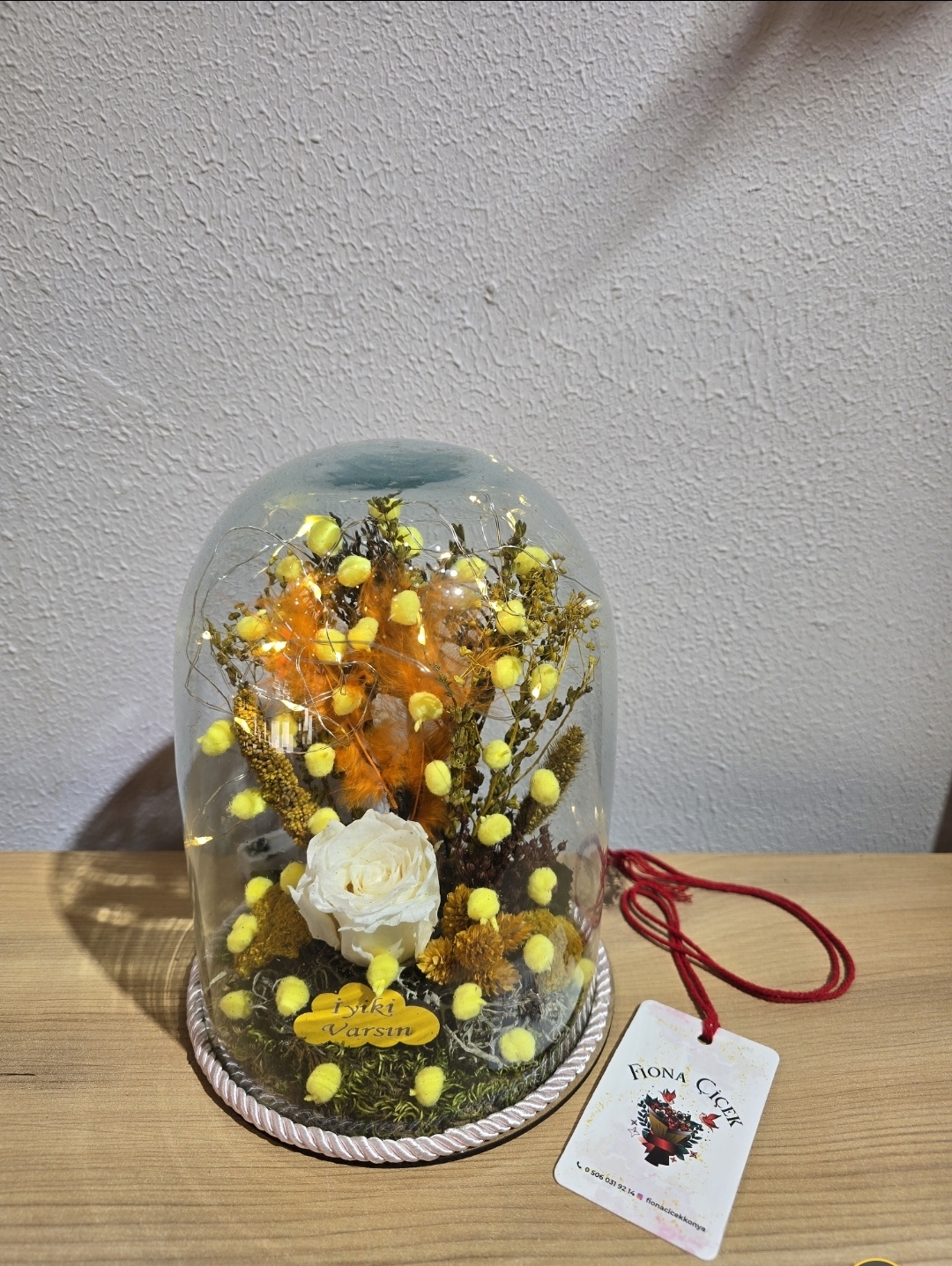 SARI LEDLİ ŞOKLANMIŞ DOĞAL TERARİUM