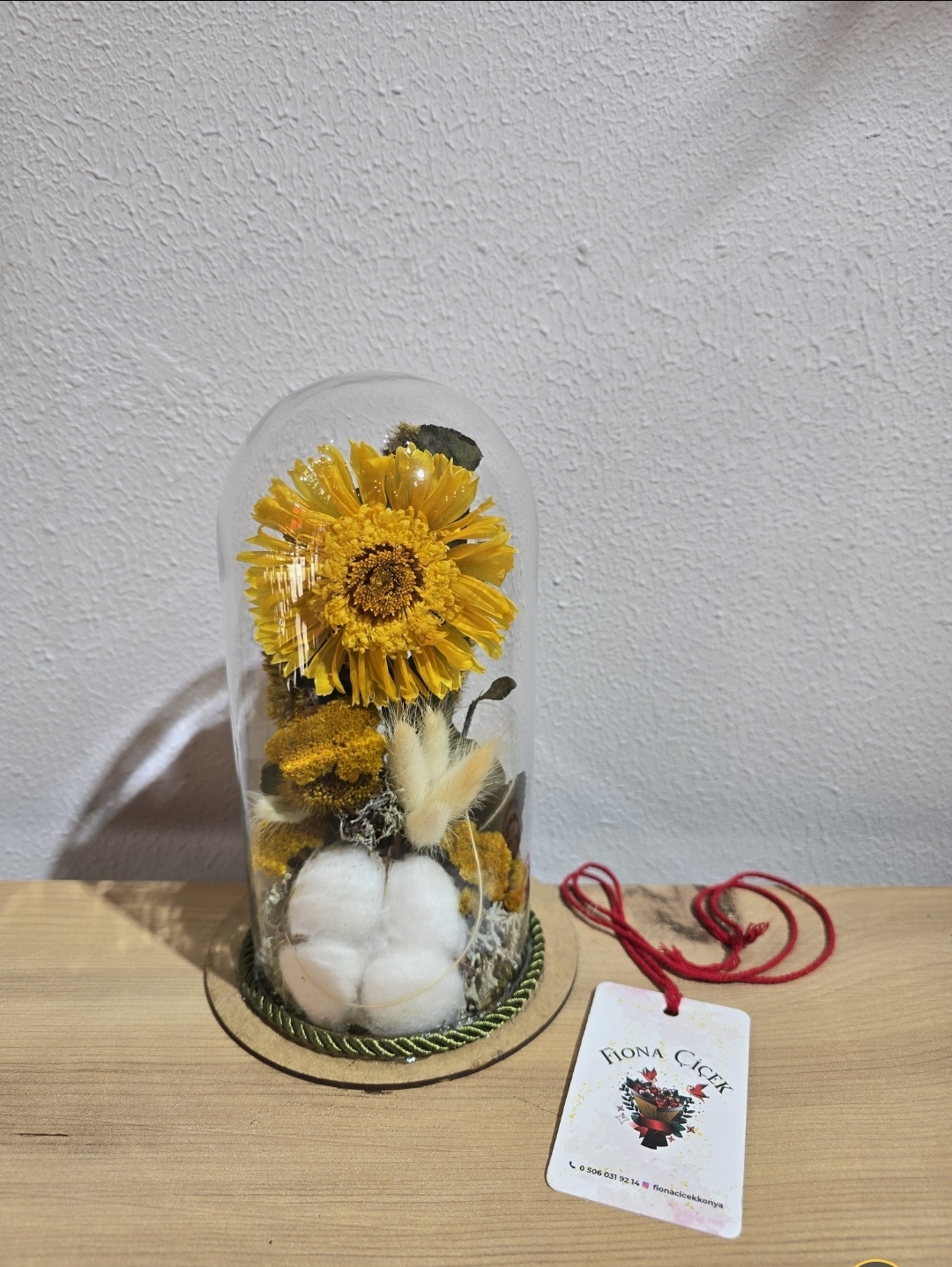 SARI ŞOKLANMIŞ DOĞAL TEKLİ CELBERA TERARİUM