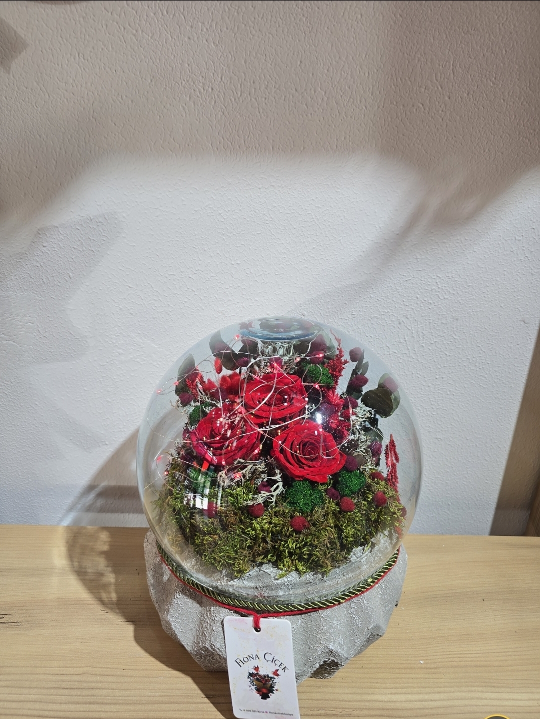 KIRMIZI ŞOKLANMIŞ DOĞAL TERARİUM 