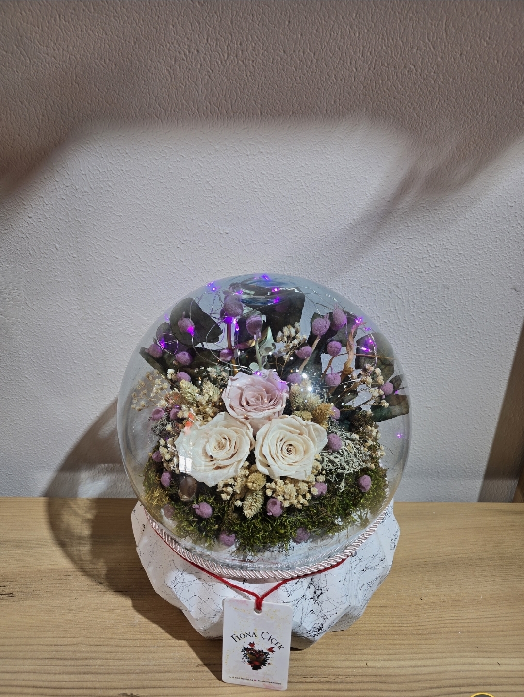 BEYAZ ŞOKLANMIŞ DOĞAL TERARİUM