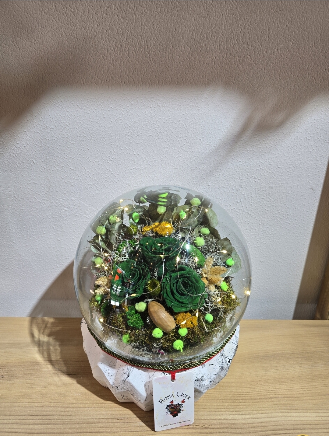 YESİL ŞOKLANMIŞ DOĞAL TERARİUM