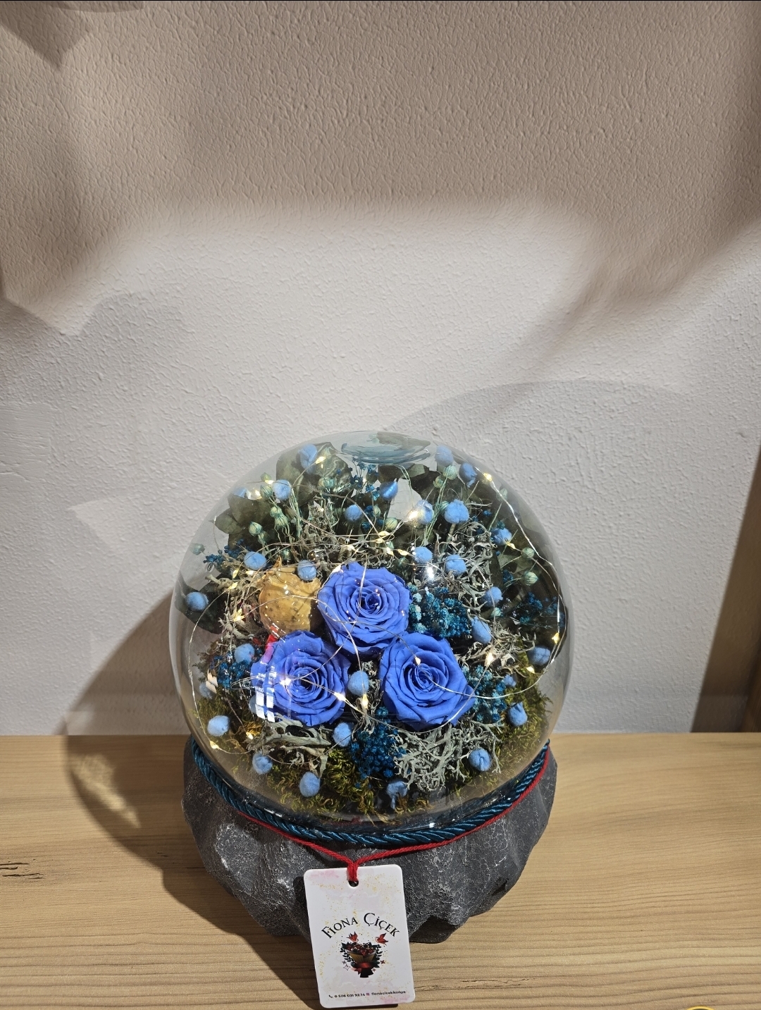 MAVİ ŞOKLANMIŞ DOĞAL TERARİUM