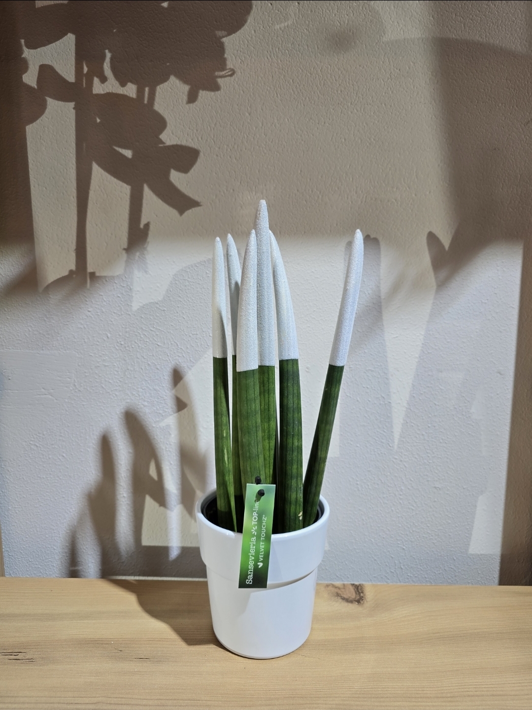 BEYAZ BÜYÜK BOY PAŞHA KILICI