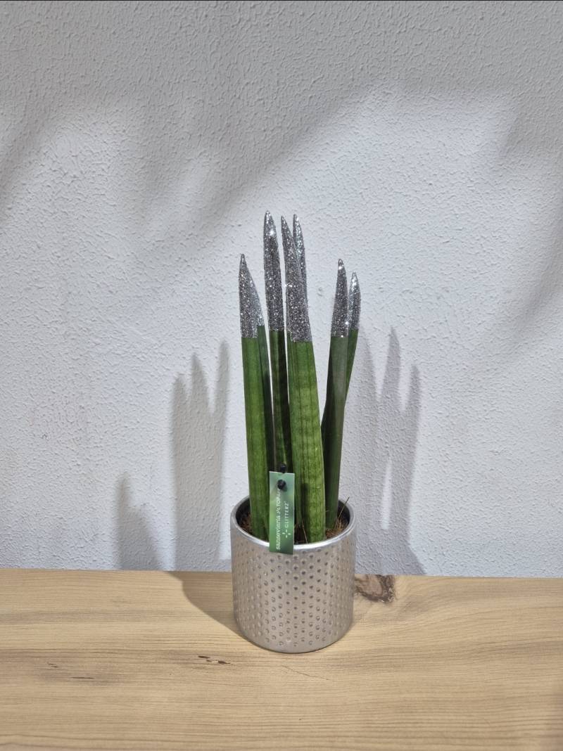 PAŞHA KILICI GÜMÜŞ SİMLİ